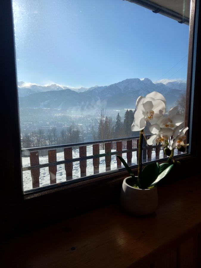 Niebianska Gran Apartment ซาโกปาเน ภายนอก รูปภาพ
