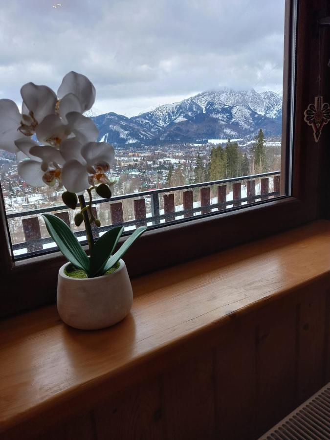 Niebianska Gran Apartment ซาโกปาเน ภายนอก รูปภาพ